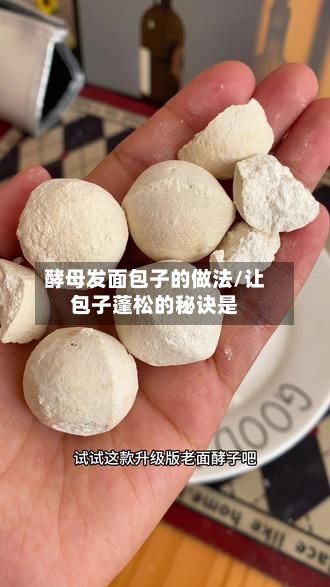 酵母发面包子的做法/让包子蓬松的秘诀是-第3张图片