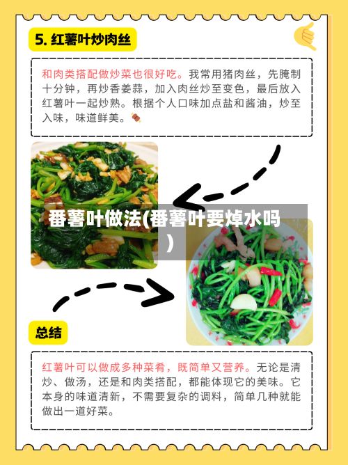 番薯叶做法(番薯叶要焯水吗)