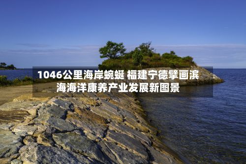 1046公里海岸蜿蜒 福建宁德擘画滨海海洋康养产业发展新图景