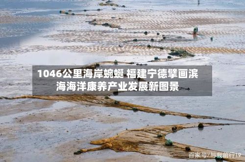 1046公里海岸蜿蜒 福建宁德擘画滨海海洋康养产业发展新图景-第2张图片