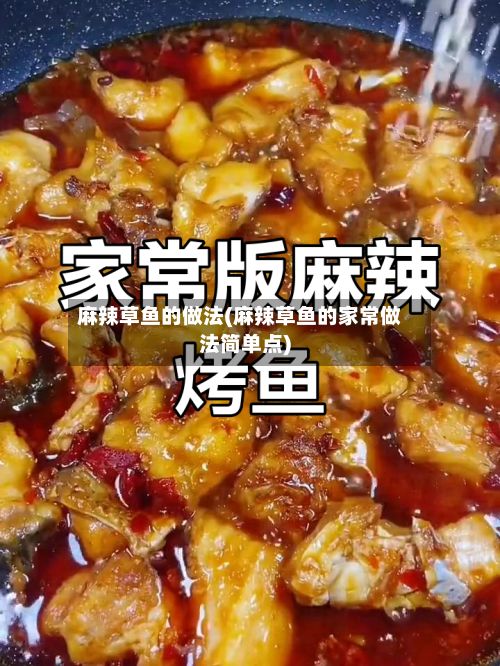 麻辣草鱼的做法(麻辣草鱼的家常做法简单点)-第2张图片