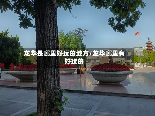 龙华是哪里好玩的地方/龙华哪里有好玩的-第3张图片
