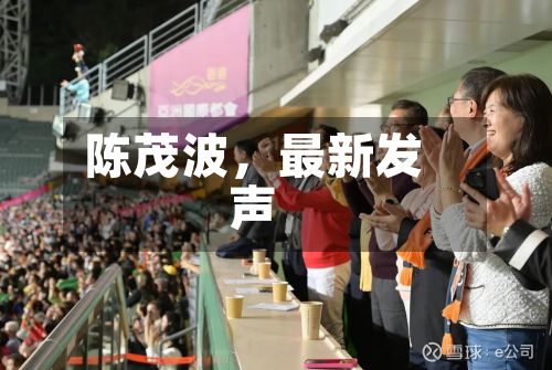 陈茂波	，最新发声-第2张图片