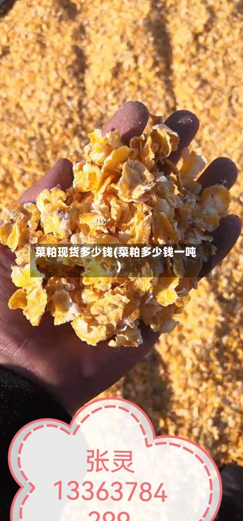 菜粕现货多少钱(菜粕多少钱一吨)