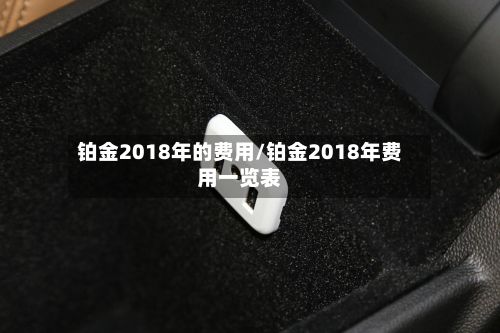 铂金2018年的费用/铂金2018年费用一览表-第2张图片