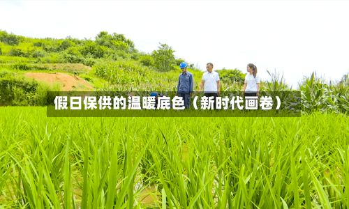 假日保供的温暖底色(新时代画卷)-第2张图片