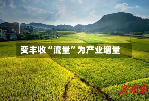 变丰收“流量	”为产业增量-第3张图片