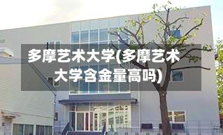 多摩艺术大学(多摩艺术大学含金量高吗)-第2张图片