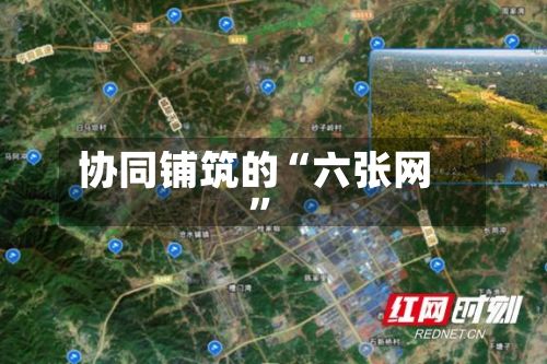 协同铺筑的“六张网”-第3张图片