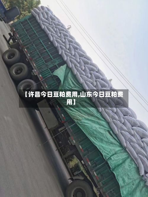 【许昌今日豆粕费用,山东今日豆粕费用】-第3张图片