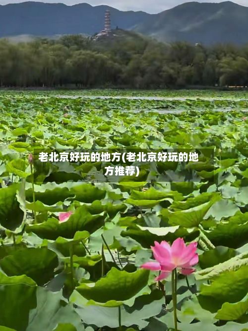 老北京好玩的地方(老北京好玩的地方推荐)-第3张图片