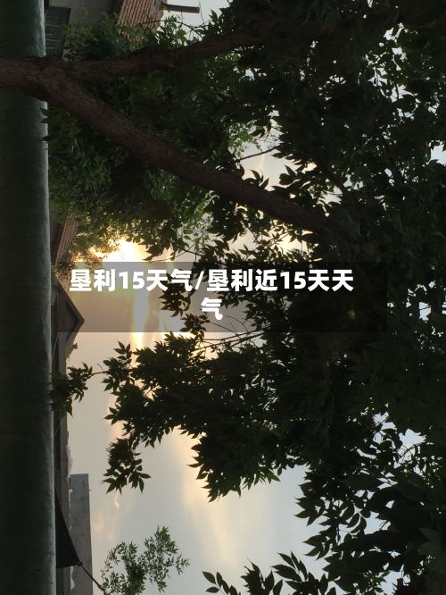 垦利15天气/垦利近15天天气-第2张图片