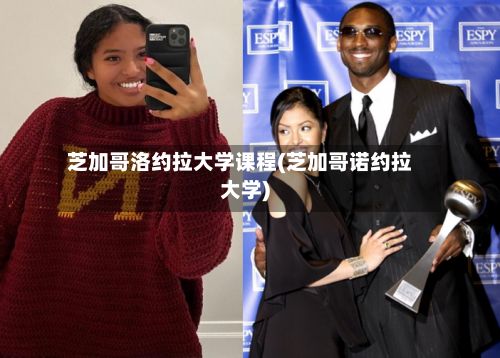 芝加哥洛约拉大学课程(芝加哥诺约拉大学)-第2张图片
