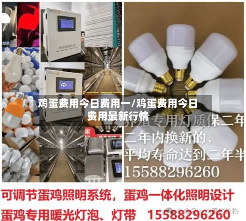 鸡蛋费用今日费用一/鸡蛋费用今日费用最新行情