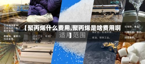 【聚丙烯什么费用,聚丙烯是啥费用啊】