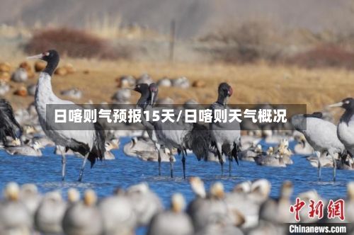 日喀则气预报15天/日喀则天气概况-第2张图片