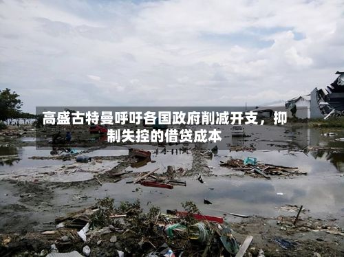 高盛古特曼呼吁各国政府削减开支，抑制失控的借贷成本