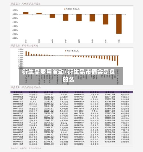 衍生品费用波动/衍生品市值会是负的么-第2张图片