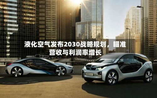 液化空气发布2030战略规划，瞄准营收与利润率增长-第2张图片