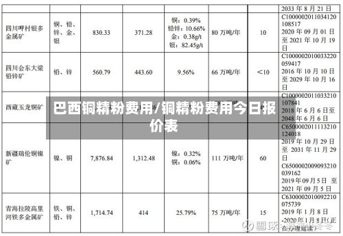 巴西铜精粉费用/铜精粉费用今日报价表
