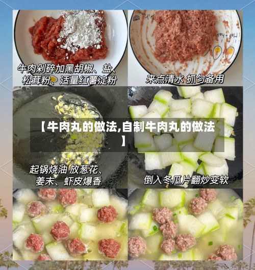 【牛肉丸的做法,自制牛肉丸的做法】