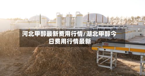 河北甲醇最新费用行情/湖北甲醇今日费用行情最新-第3张图片