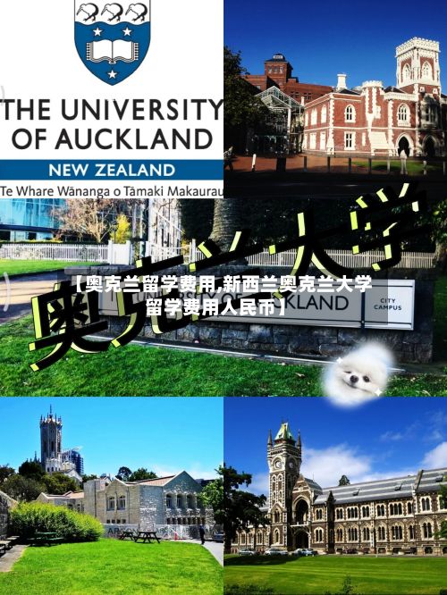 【奥克兰留学费用,新西兰奥克兰大学留学费用人民币】