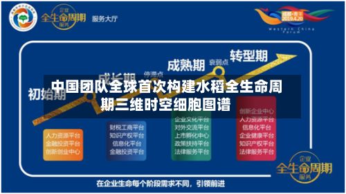 中国团队全球首次构建水稻全生命周期三维时空细胞图谱