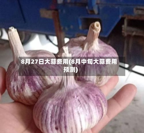 8月27日大蒜费用(8月中旬大蒜费用预测)