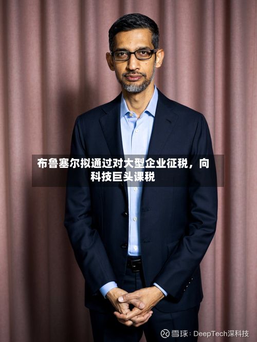 布鲁塞尔拟通过对大型企业征税，向科技巨头课税