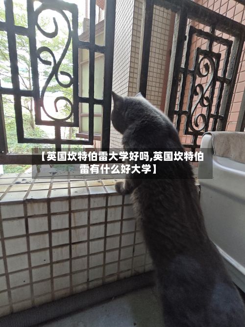 【英国坎特伯雷大学好吗,英国坎特伯雷有什么好大学】