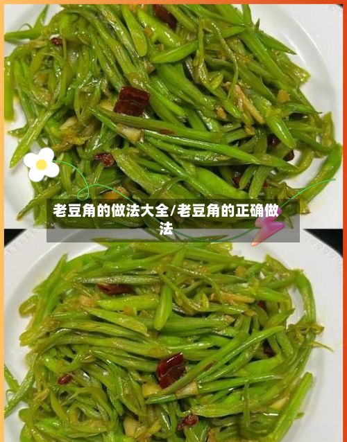 老豆角的做法大全/老豆角的正确做法