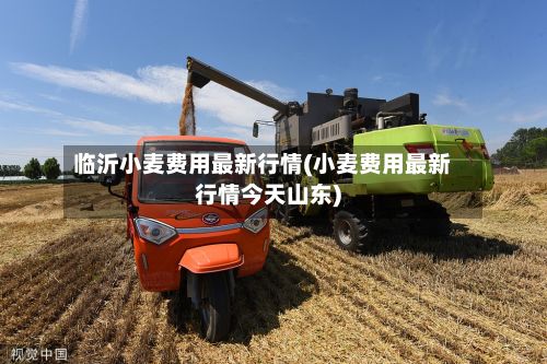 临沂小麦费用最新行情(小麦费用最新行情今天山东)