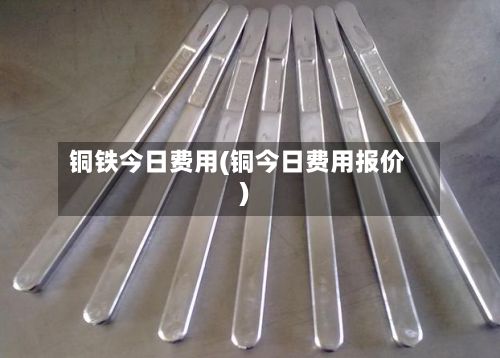 铜铁今日费用(铜今日费用报价)