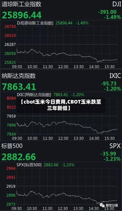 【cbot玉米今日费用,CBOT玉米跌至三年新低】-第2张图片