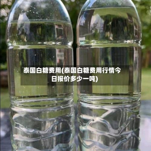 泰国白糖费用(泰国白糖费用行情今日报价多少一吨)