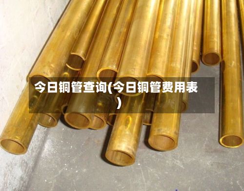 今日铜管查询(今日铜管费用表)-第3张图片