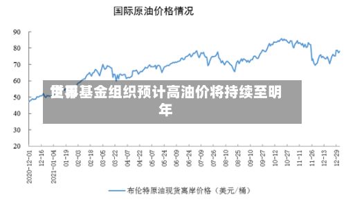 世界货币基金组织预计高油价将持续至明年