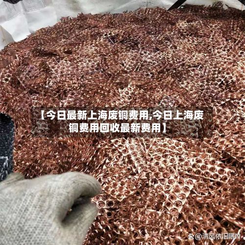【今日最新上海废铜费用,今日上海废铜费用回收最新费用】-第2张图片
