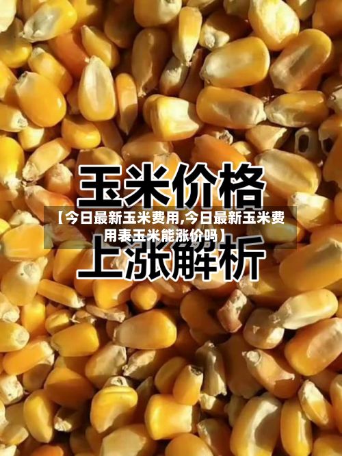 【今日最新玉米费用,今日最新玉米费用表玉米能涨价吗】