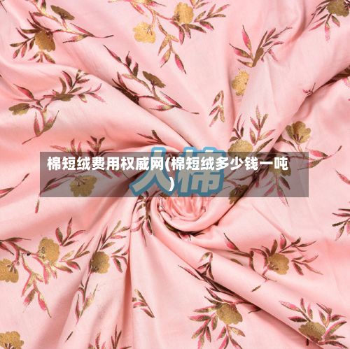 棉短绒费用权威网(棉短绒多少钱一吨)-第2张图片