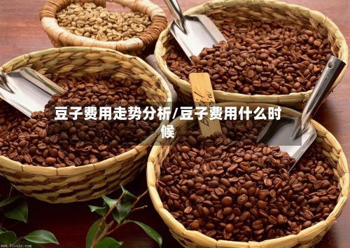 豆子费用走势分析/豆子费用什么时候-第2张图片