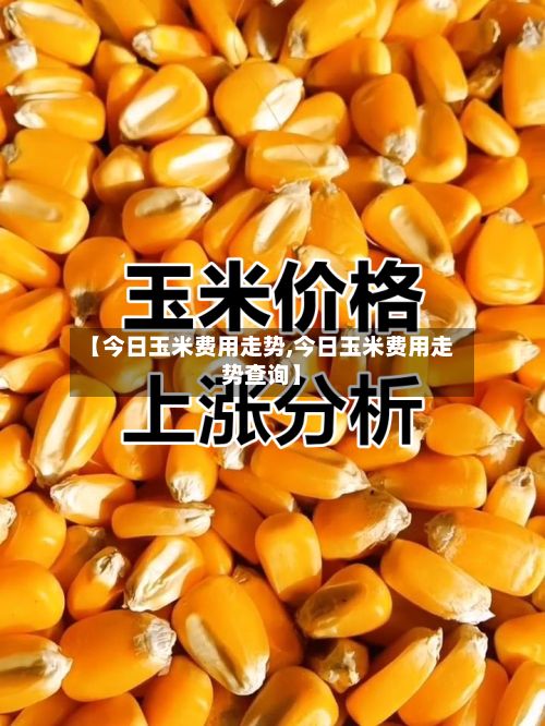 【今日玉米费用走势,今日玉米费用走势查询】