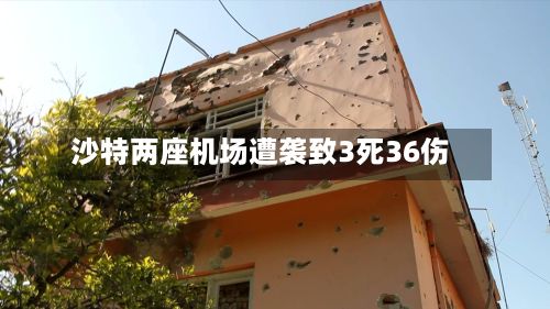沙特两座机场遭袭致3死36伤