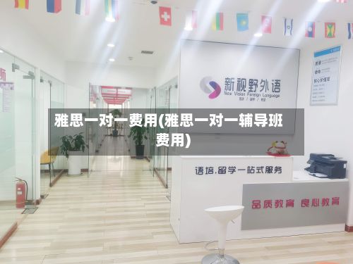 雅思一对一费用(雅思一对一辅导班费用)-第3张图片