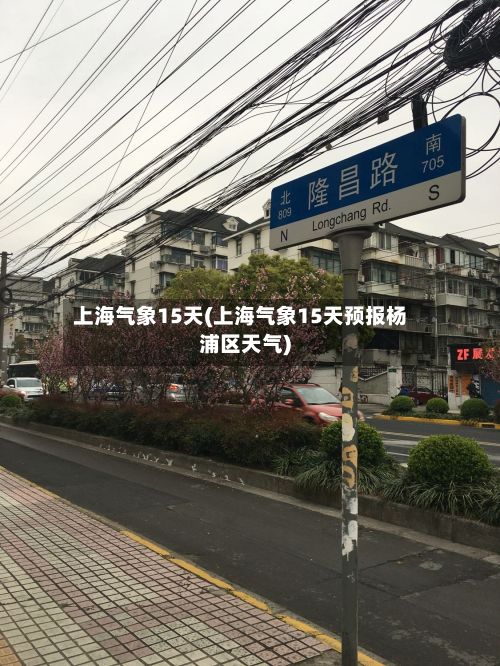 上海气象15天(上海气象15天预报杨浦区天气)-第2张图片