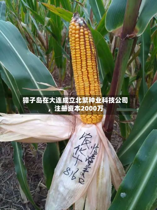 獐子岛在大连成立北繁种业科技公司，注册资本2000万-第3张图片