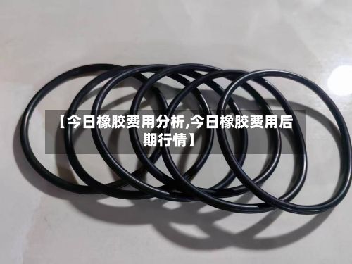 【今日橡胶费用分析,今日橡胶费用后期行情】-第3张图片