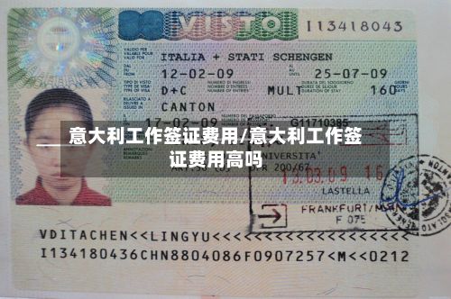 意大利工作签证费用/意大利工作签证费用高吗