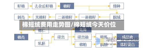 棉短绒费用走势图/棉短绒今天价位